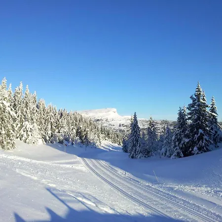 Skeikampen Leilighet, Veslesetervegen 973 F
